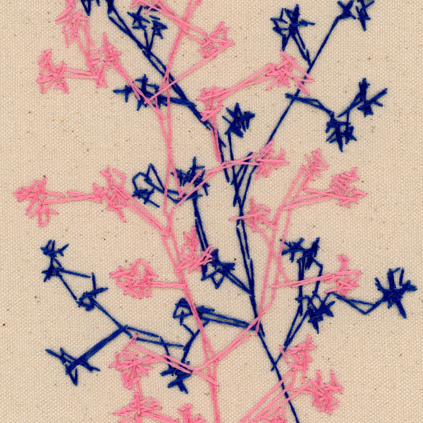 Spring Flora, 2024