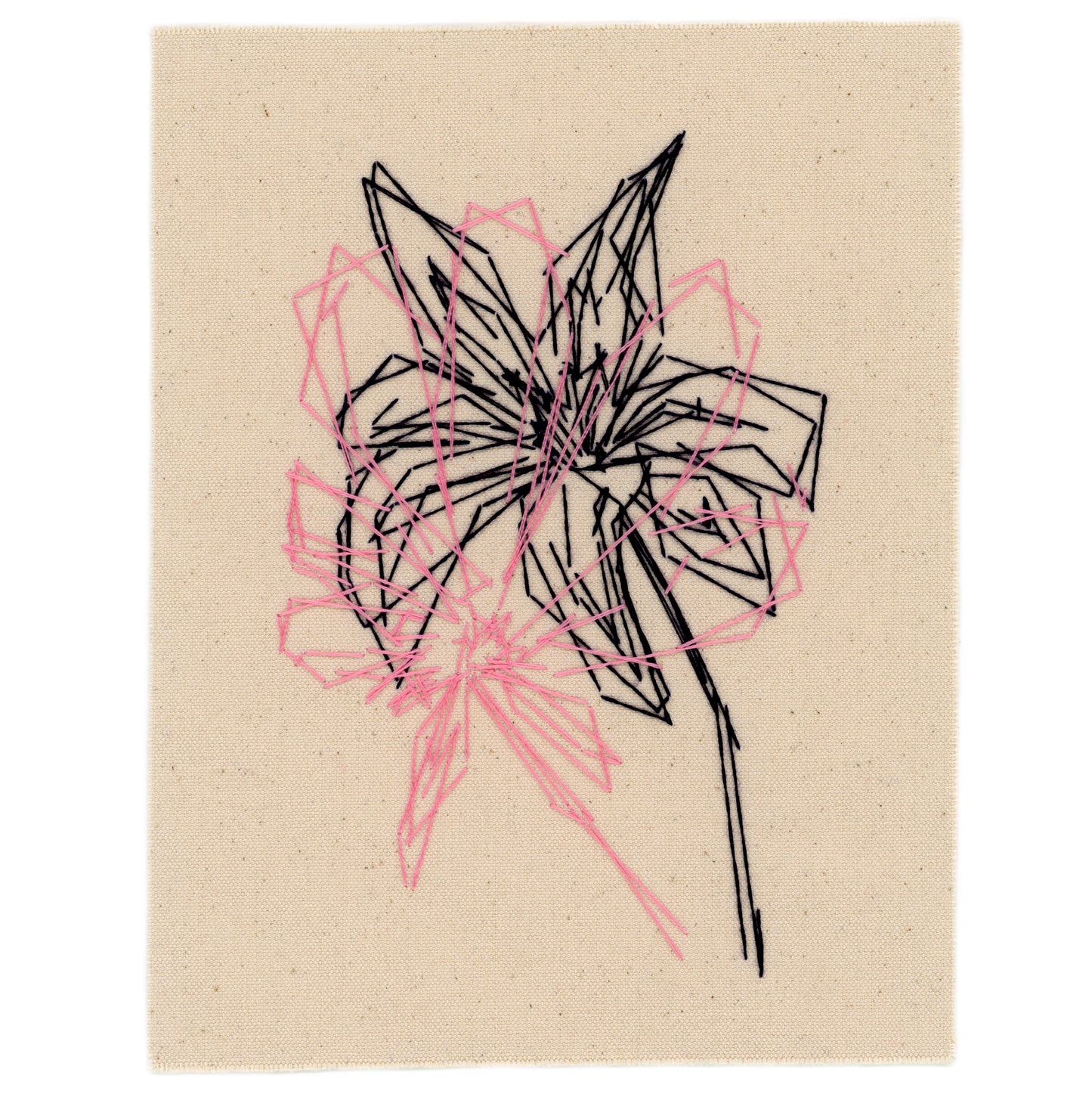 Spring Flora, 2024