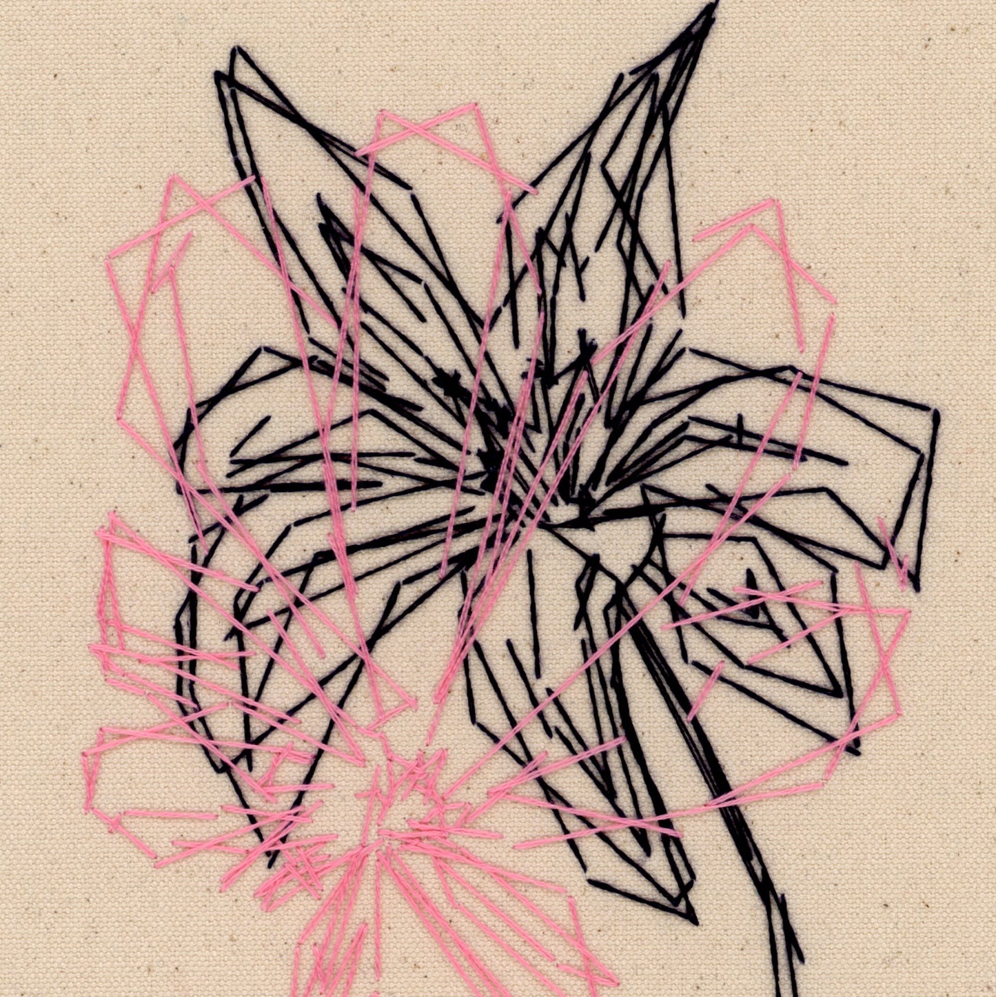 Spring Flora, 2024