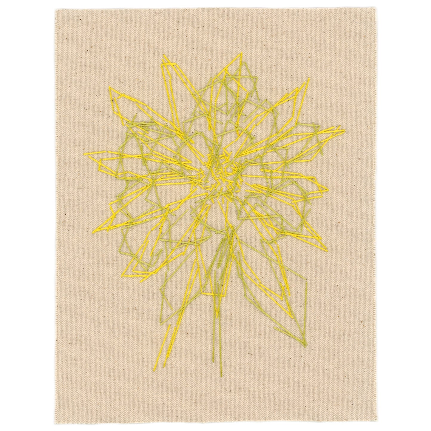 Spring Flora, 2024
