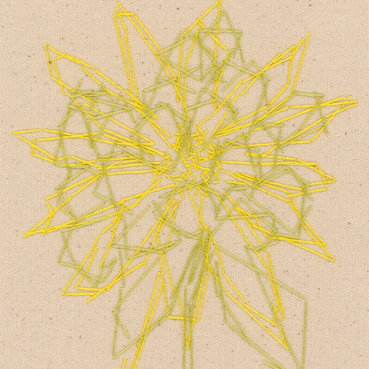 Spring Flora, 2024