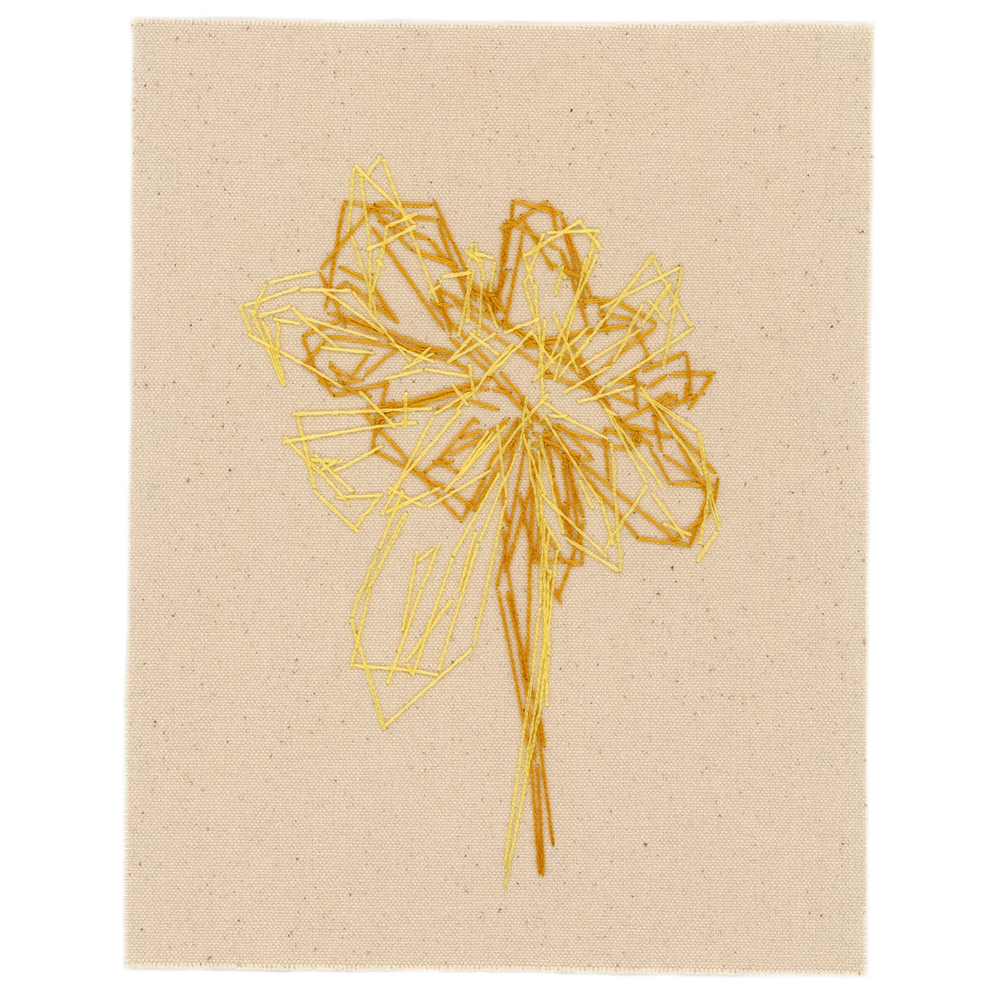 Spring Flora, 2024