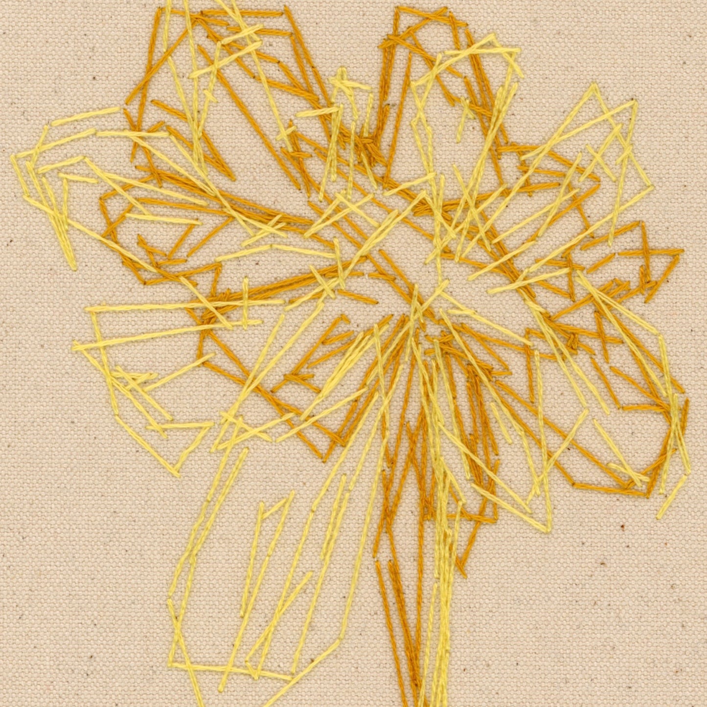 Spring Flora, 2024
